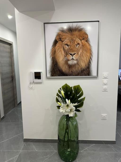 Appartement Lahoucine Boulogne-sur-Mer Zewnętrze zdjęcie